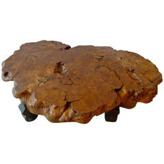 Japanese Burl Wood Low Table