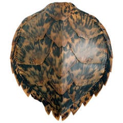Hawkbill Turtle Shell 1950s
