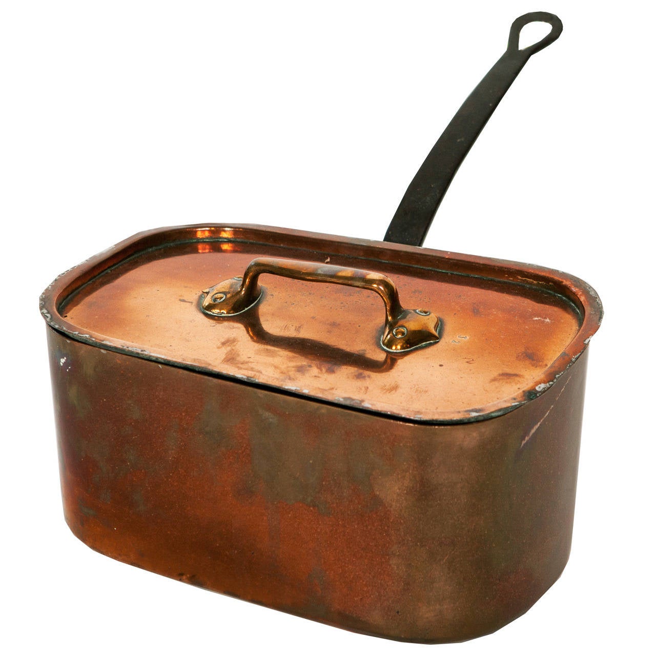 19th Century Antique French Copper Fish Poacher at 1stdibs