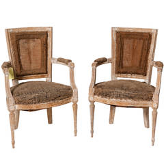 Pair of Directoire  Style Chairs