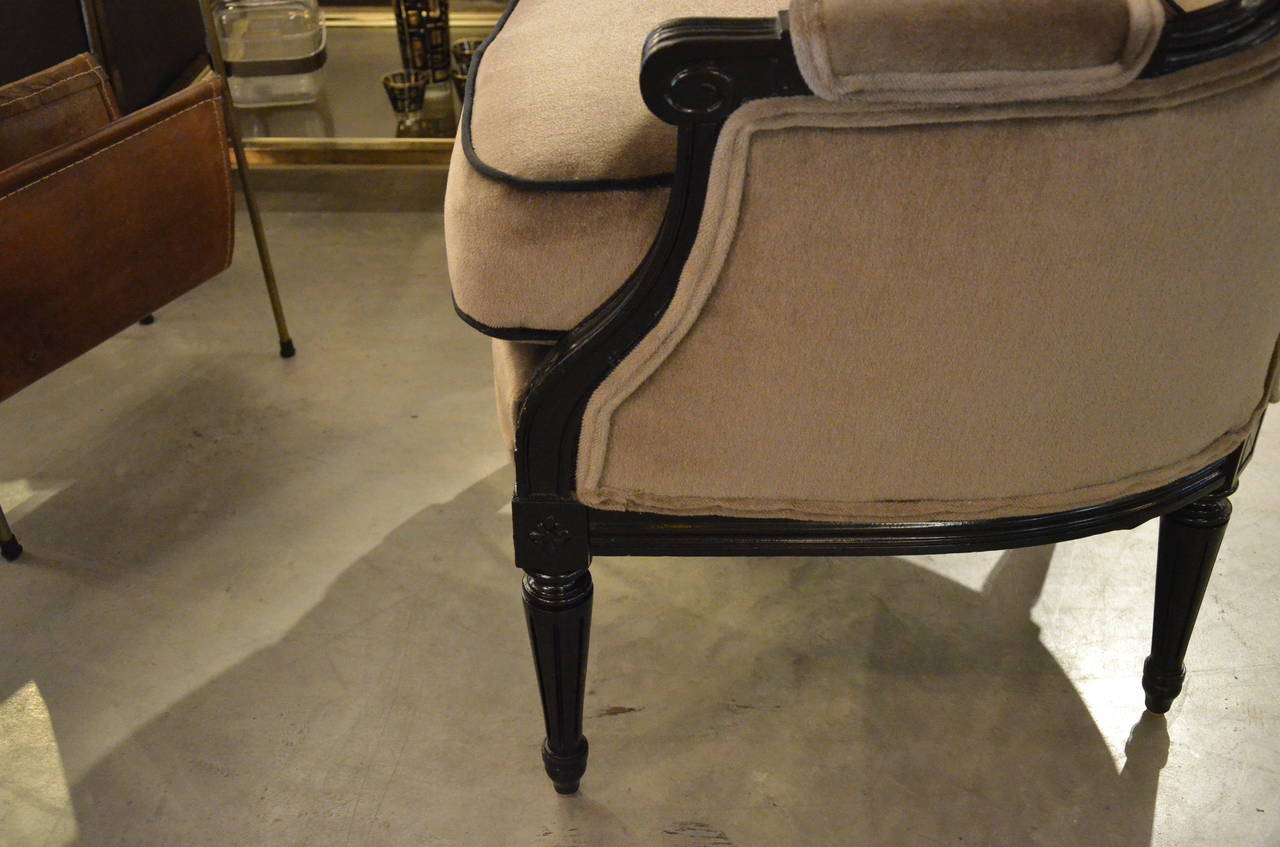 French Hooded Chair Newly Lacquered and Newly Upholstered in Mohair Velvet 4