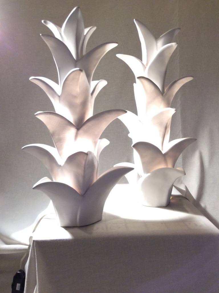 'Cactus' Lights
