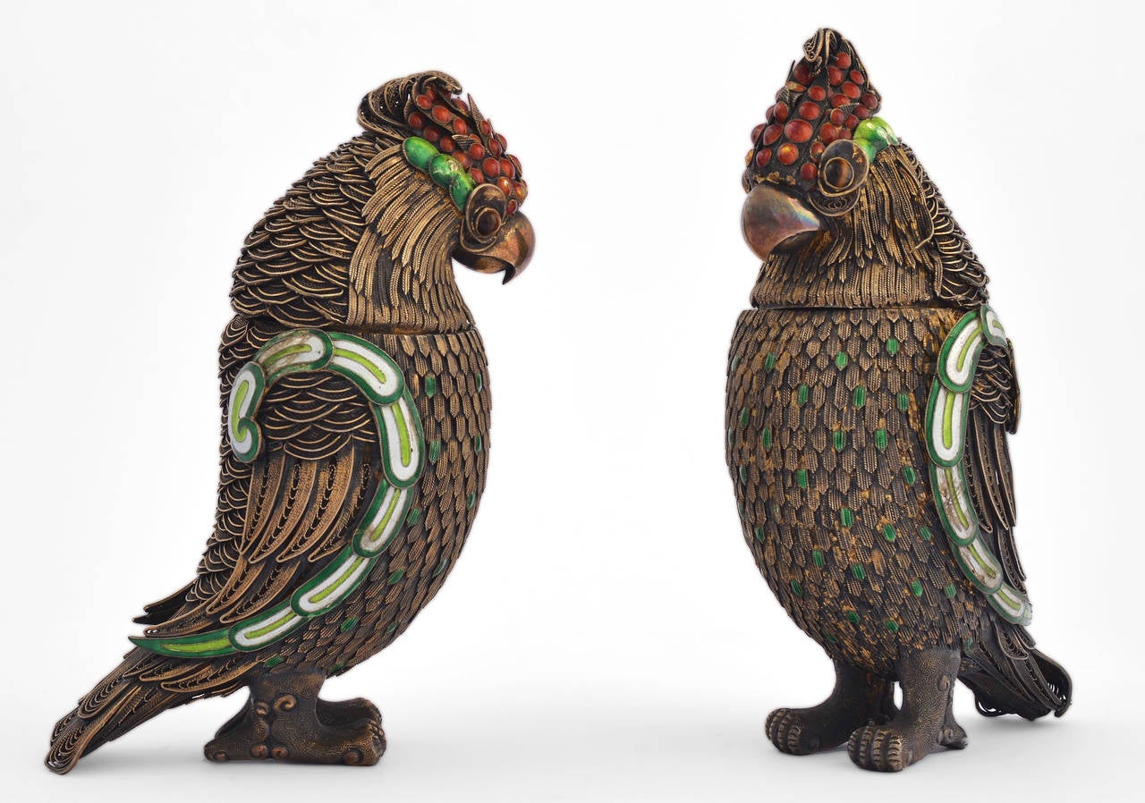 Chinese Silver Parrots