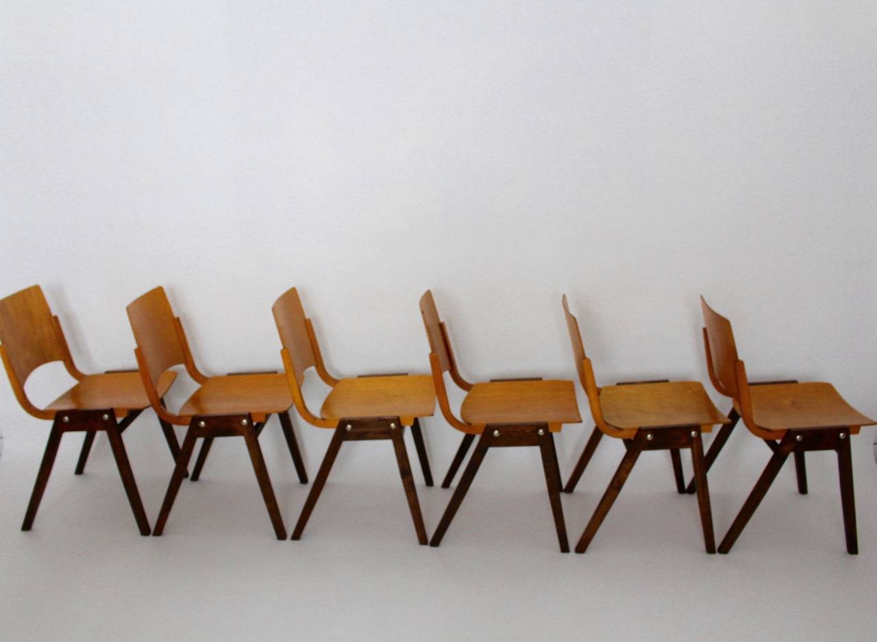  Moderne Esszimmerstühle aus der Mitte des Jahrhunderts von Roland Rainer 1952 Wien Österreich (Moderne der Mitte des Jahrhunderts) im Angebot