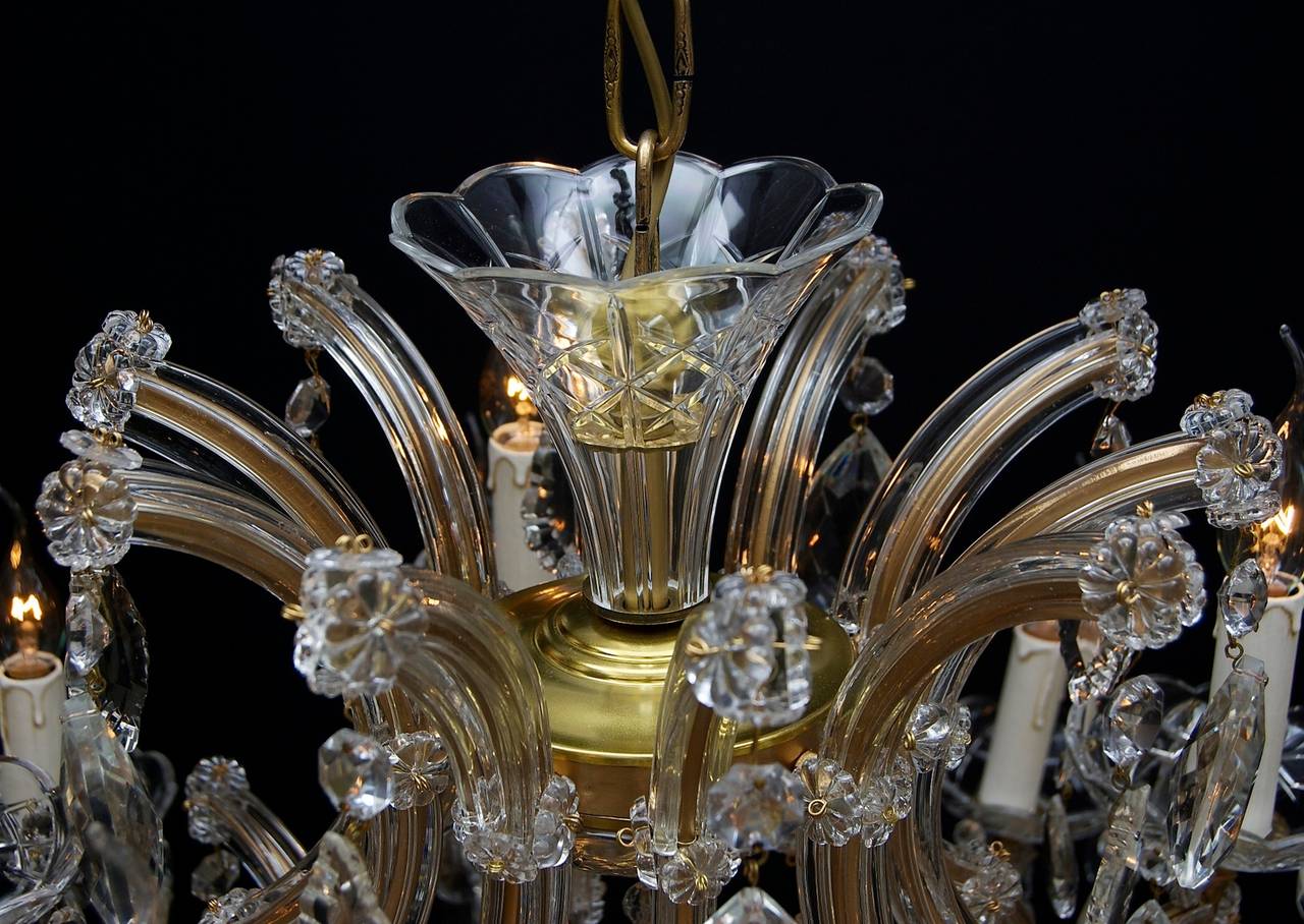 20th Century Large Crystal Chandelier with 16 Lights 4