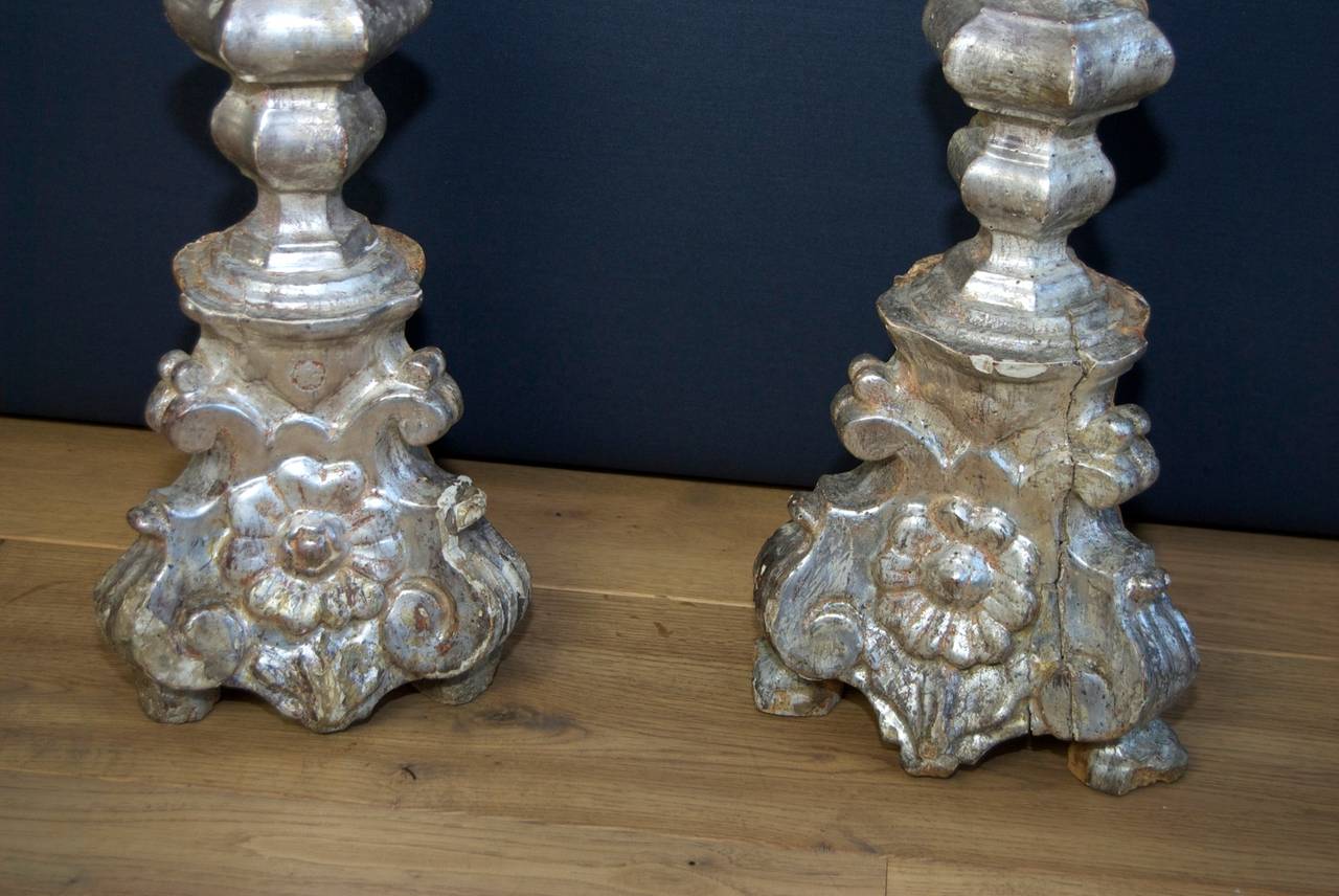 Pair of 18th Century Italian Silver Leaf Pricket sticks or Candlesticks For Sale 1