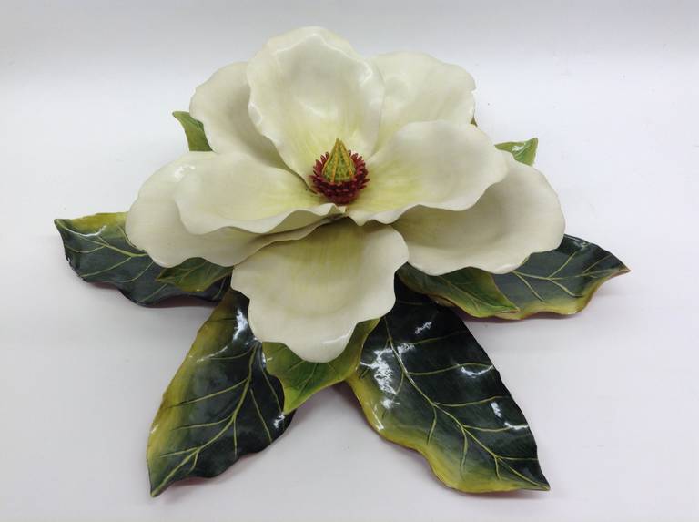 Large single Magnolia with elaborate interior. a centerpiece. This is a one of a kind handcrafted piece.
 
Katherine Houston is a living artist working in an 18th century technique, adapting the techniques and masterful creations of the past with