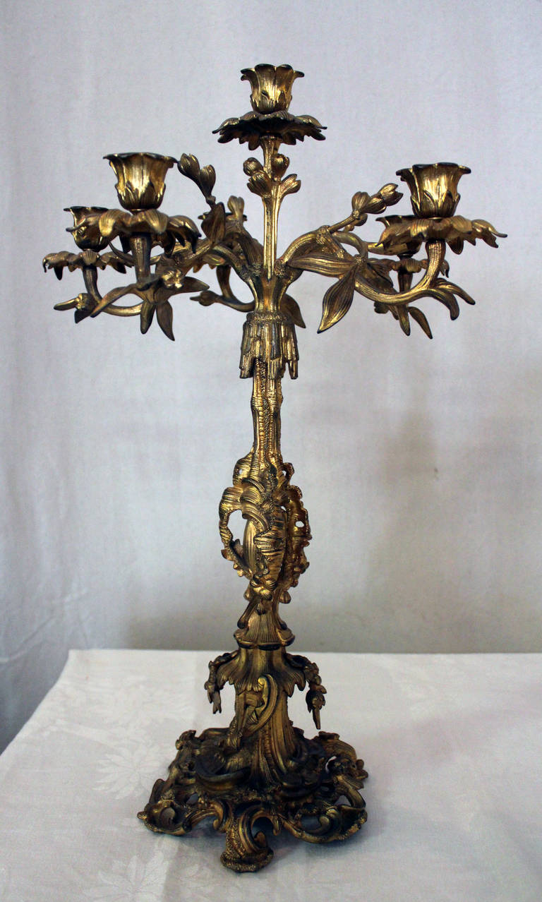 Gold gilt over bronze 19th century French Rococo style pair of candelabra. Each feature five arms with one center holder in a graceful vine and floral design.
See measurements below.