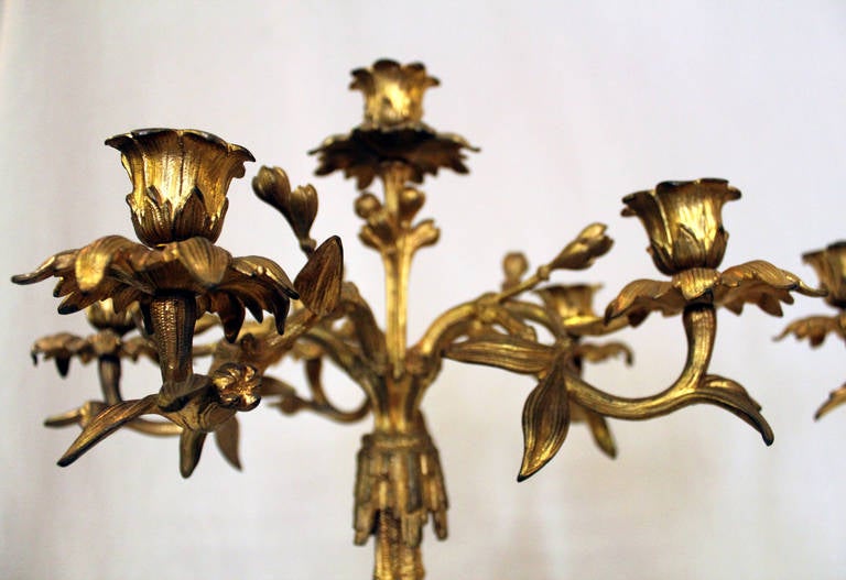 19th century French Rococo Style Pair of Gold Gilt Candelabra In Good Condition For Sale In Savannah, GA