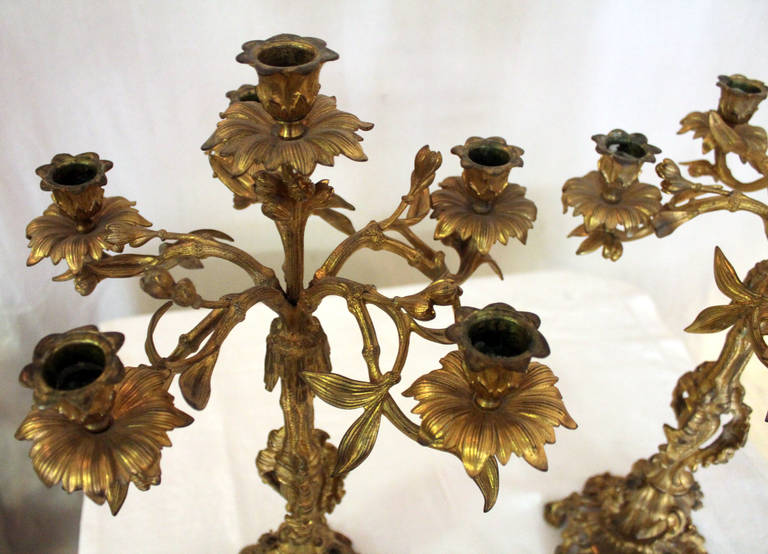 Bronze 19th century French Rococo Style Pair of Gold Gilt Candelabra For Sale
