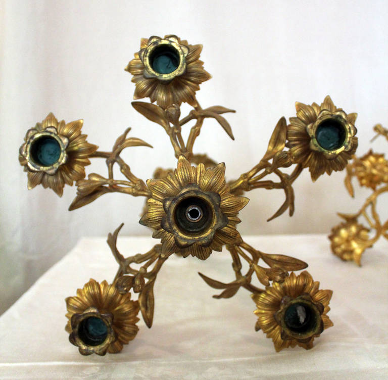 Dorato Coppia di candelabri dorati in stile French Rococo del XIX secolo in vendita