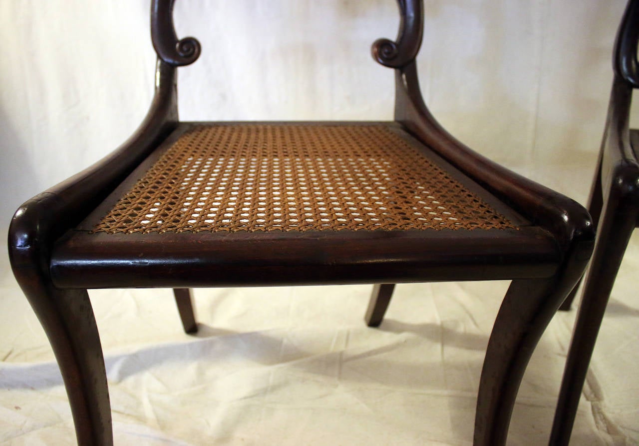 British 19th century Regency Mahogany Chairs with Boulle Marquetry For Sale