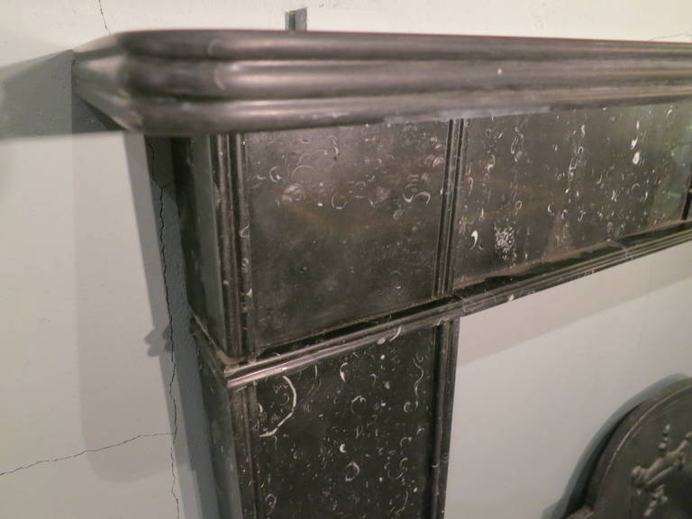 An Irish Regency period fireplace in black Kilkenny fossil marble. The plain jambs and end blocks framed in reeded mouldings. The reeded centre tablet underneath a double reeded shelf. The whole raised up on square foot blocks, early 19th century.