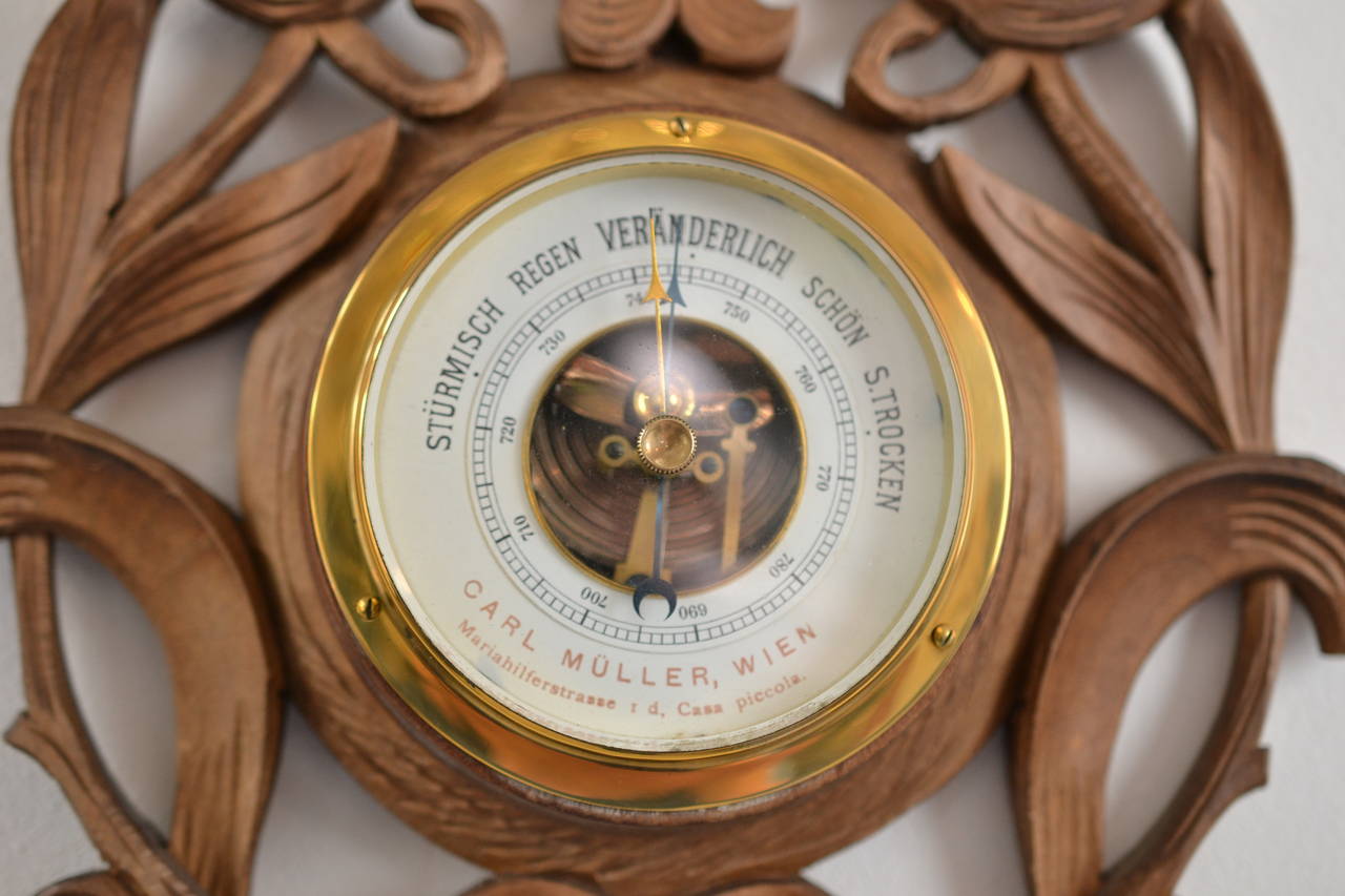 Austrian Thermometer and Weather Station