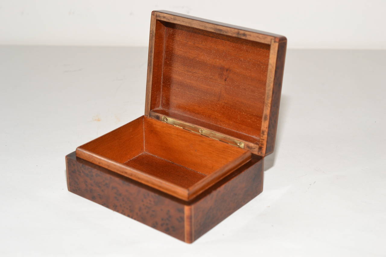 Polished Jugendstil Maplewood Box