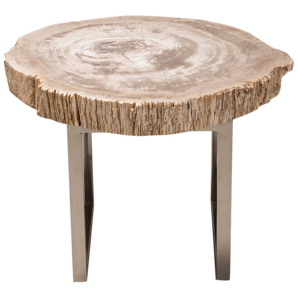 Stone Slice, Petrified Wood Table on a Stainless Steel Base, Indonesia For Sale