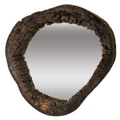 Mud Mirror Made Out of a Very Large, Hollowed-Out Trunk