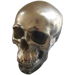 Nickel-Plated Resin Skull 2