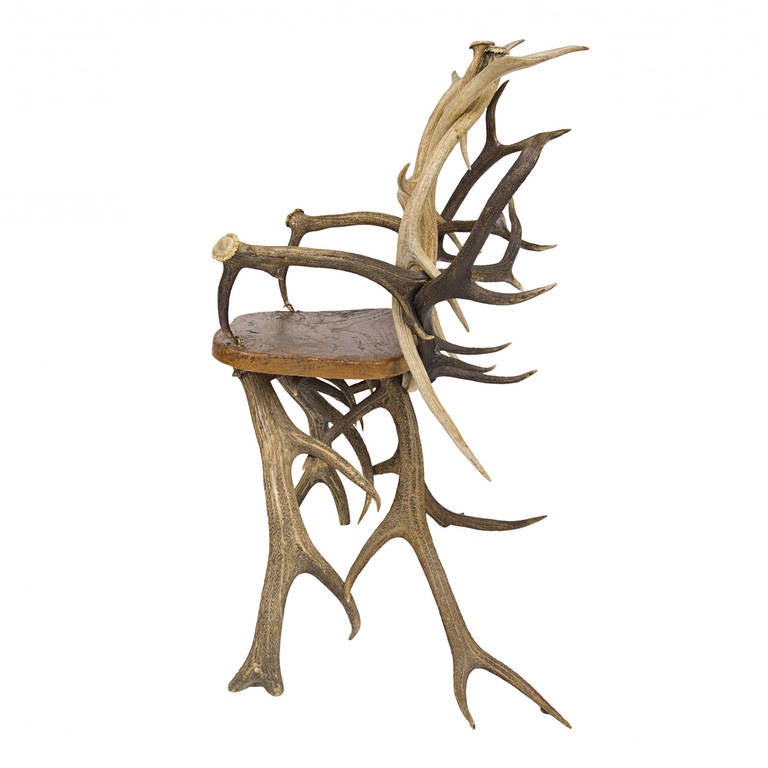 American Mid-Century Vintage Antler Chair