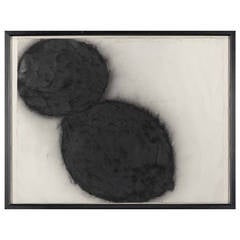 "Black Lemon and Black Egg" Charcoal on Paper by Donald Sultan