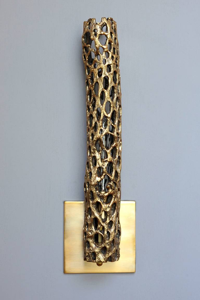 Bronze Cholla Sconce