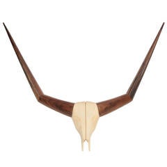 Luke Miller Cow Horns Sculpture