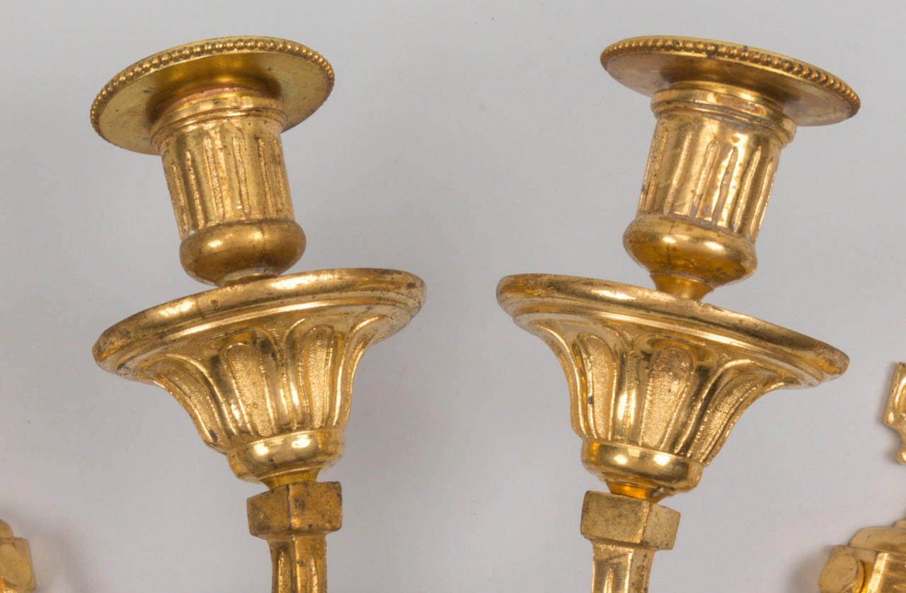 Pair of French Louis XVI Ormolu Gilt Bronze Sconces For Sale 1
