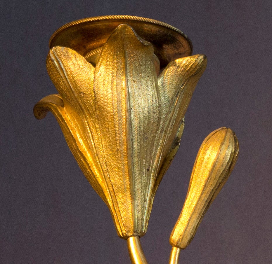 18th Century Elegant Pair of Louis XVI Period Gilt Bronze Two-Arm Candelabraum For Sale