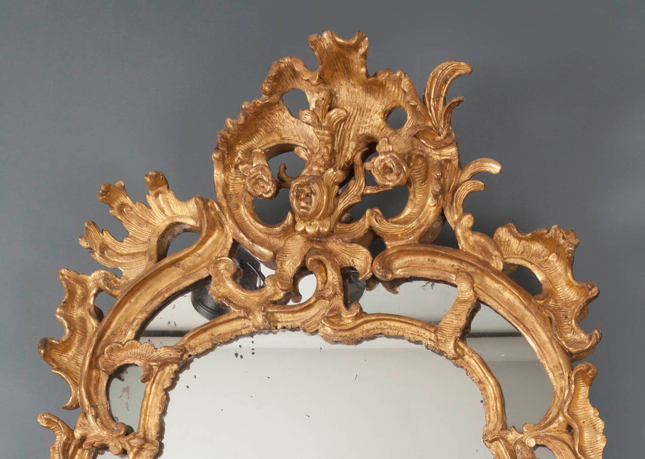 Mirror adorned with chimeras, floral, foliate patterns and pomegranate.

Its gilding is original.

Parisian work from the Regency period.

Dimensions: 153 x 89 cm.