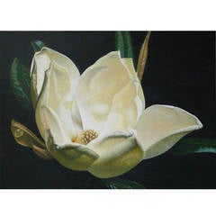 "Magnolia, XV" Oil Painting by John Woodrow Kelley