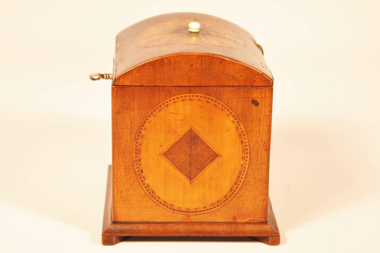 Mixed Woods and Mother-of-Pearl Inlaid Tea Caddy In Good Condition In Woodbury, CT