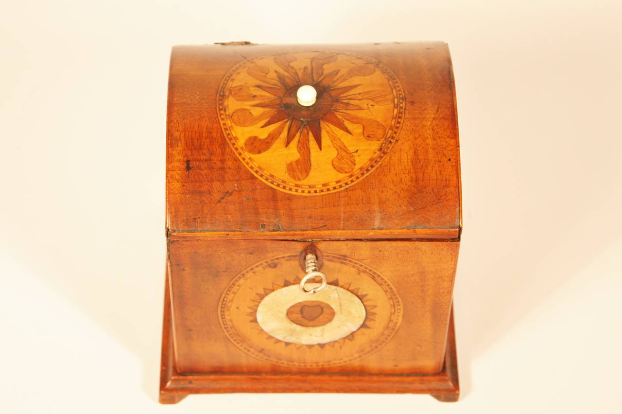 Regency Mixed Woods and Mother-of-Pearl Inlaid Tea Caddy