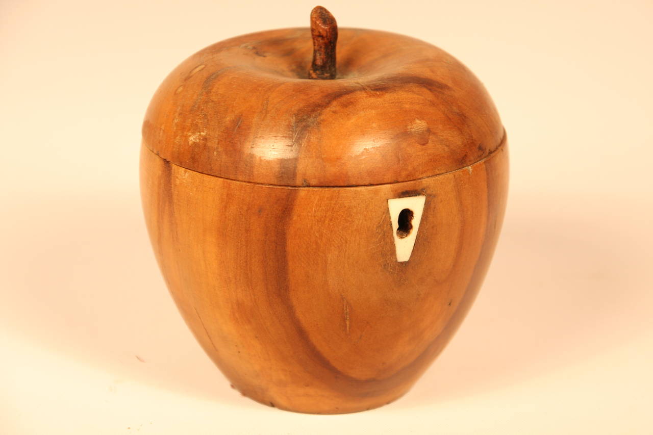 Early 19th Century 19th Century Apple-Wood Carved Tea Caddy