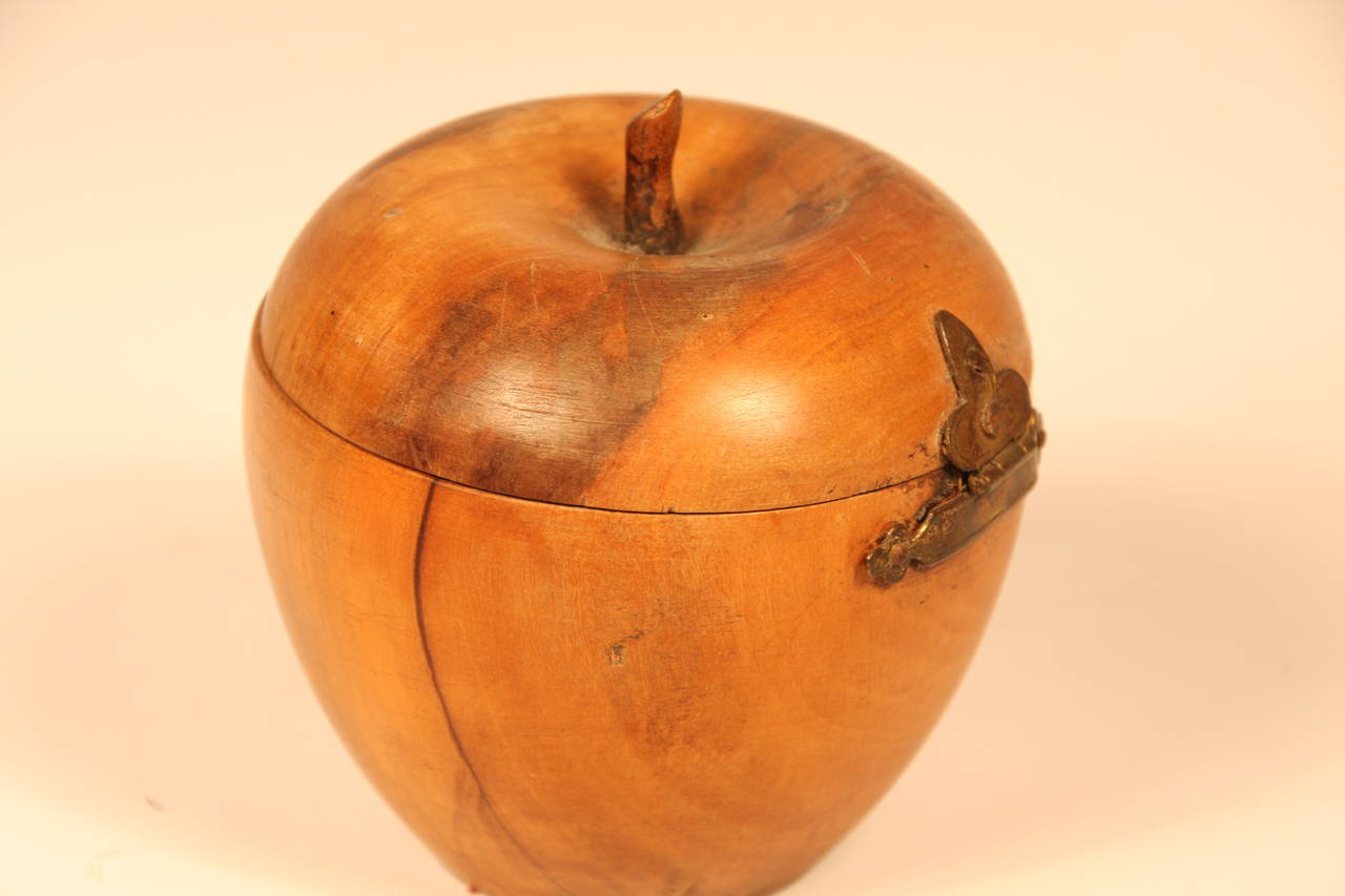 British 19th Century Apple-Wood Carved Tea Caddy