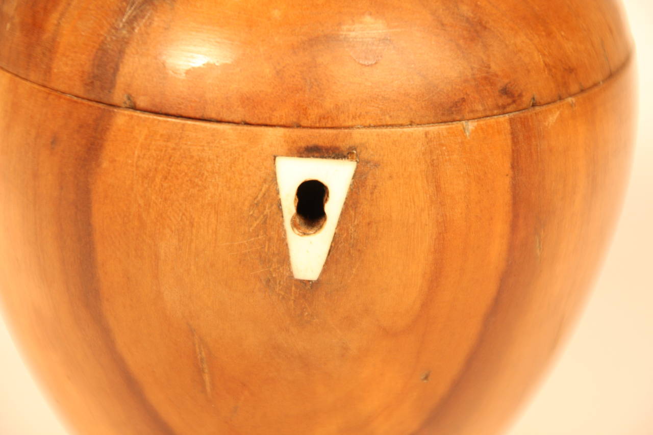 19th Century Apple-Wood Carved Tea Caddy 1