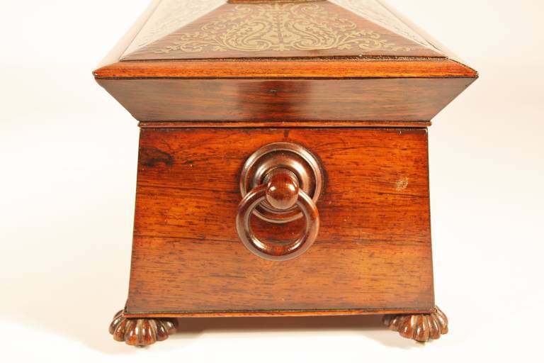 Regency 19th Century Rosewood Tea Caddy with Extensive Brass Inlay