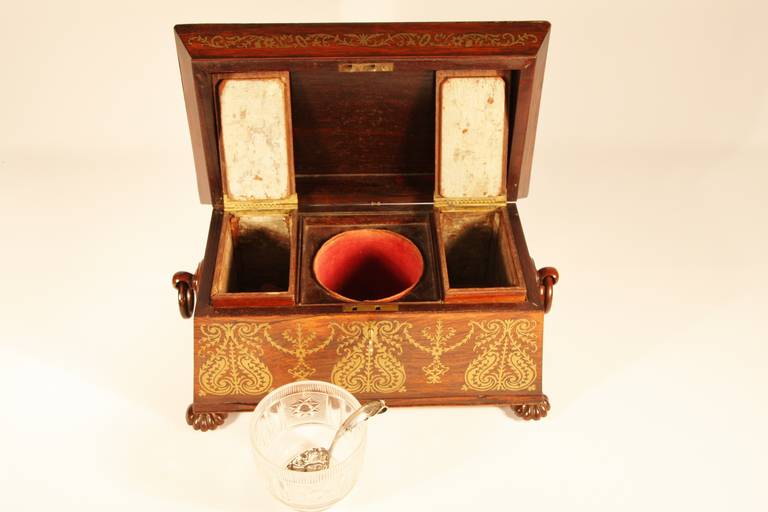 19th Century Rosewood Tea Caddy with Extensive Brass Inlay 3