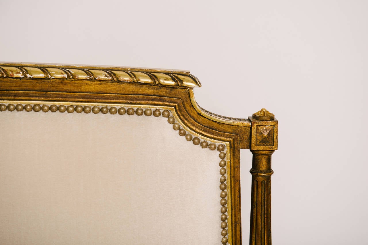 19. Jahrhundert Louis XVI Stil Giltwood Creme Weiß Canapé (Französisch) im Angebot