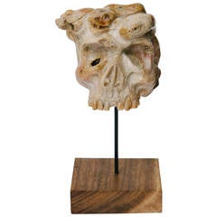 Carved Fossilized Coral Medusa Snake Skull 11