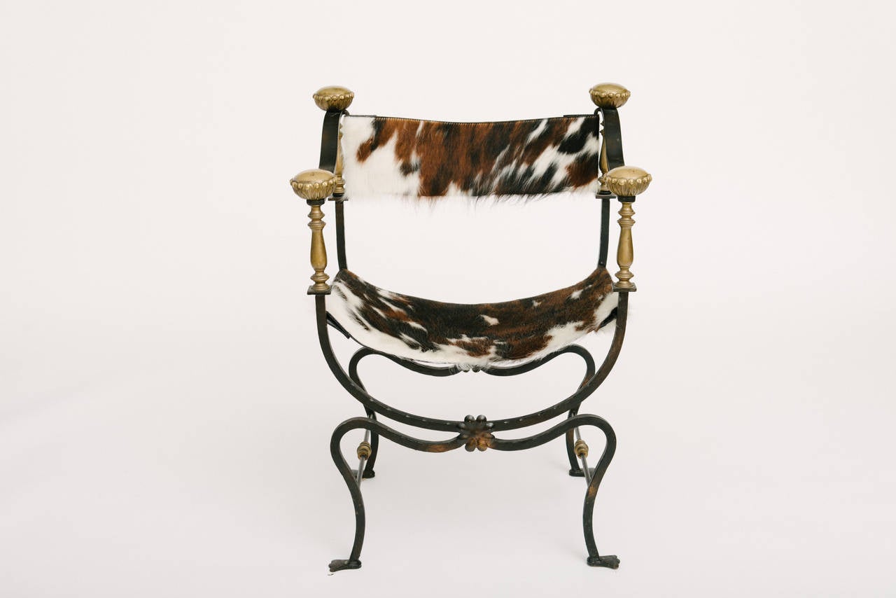 1920s iron and brass Italian Faldistorio chair. Cow hide seat and back.