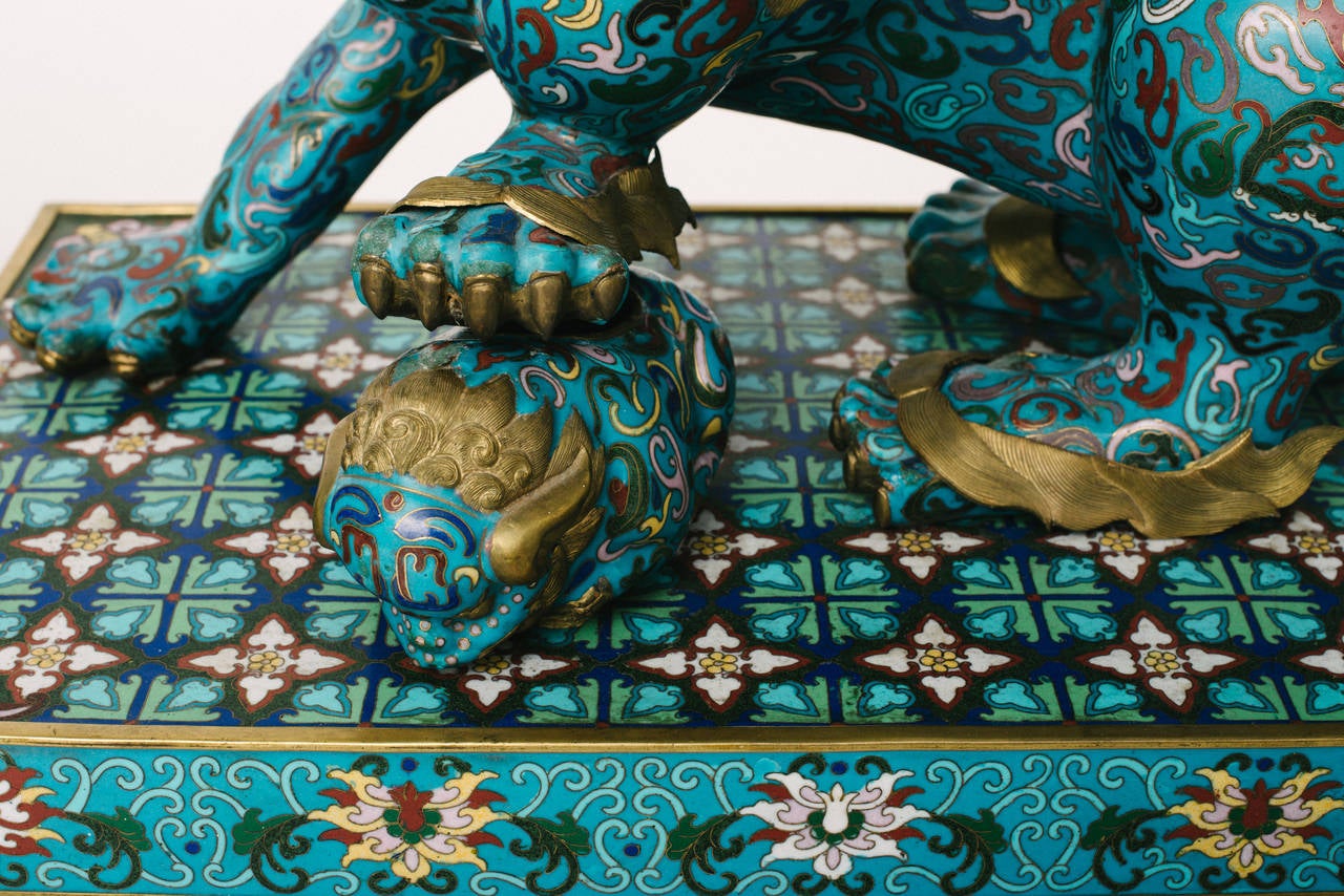 Late 19th Century 19th Century Chinese Cloisonné Fu Dogs For Sale