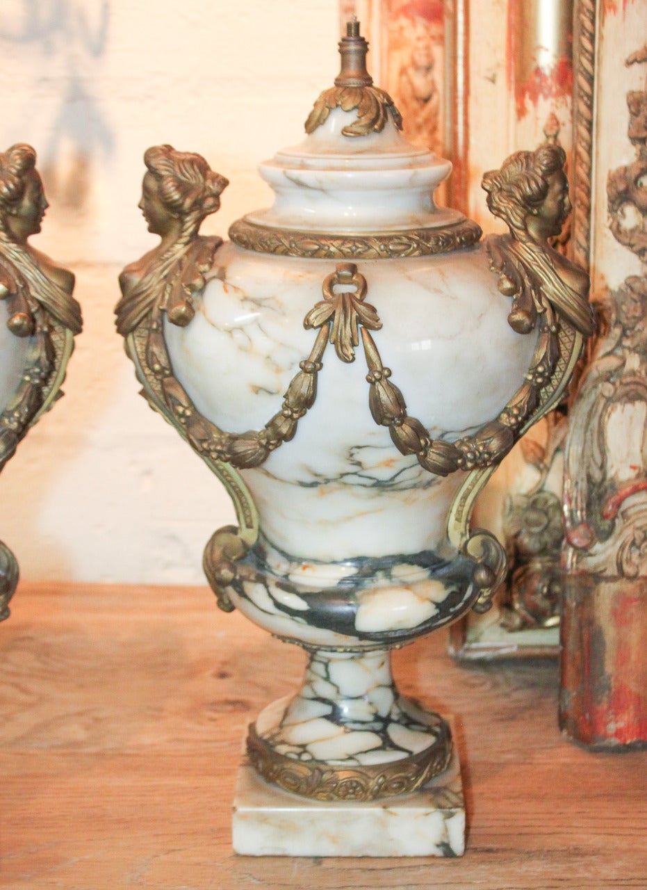 Bronze 19th Century Pair of French Louis XV Marble Urns