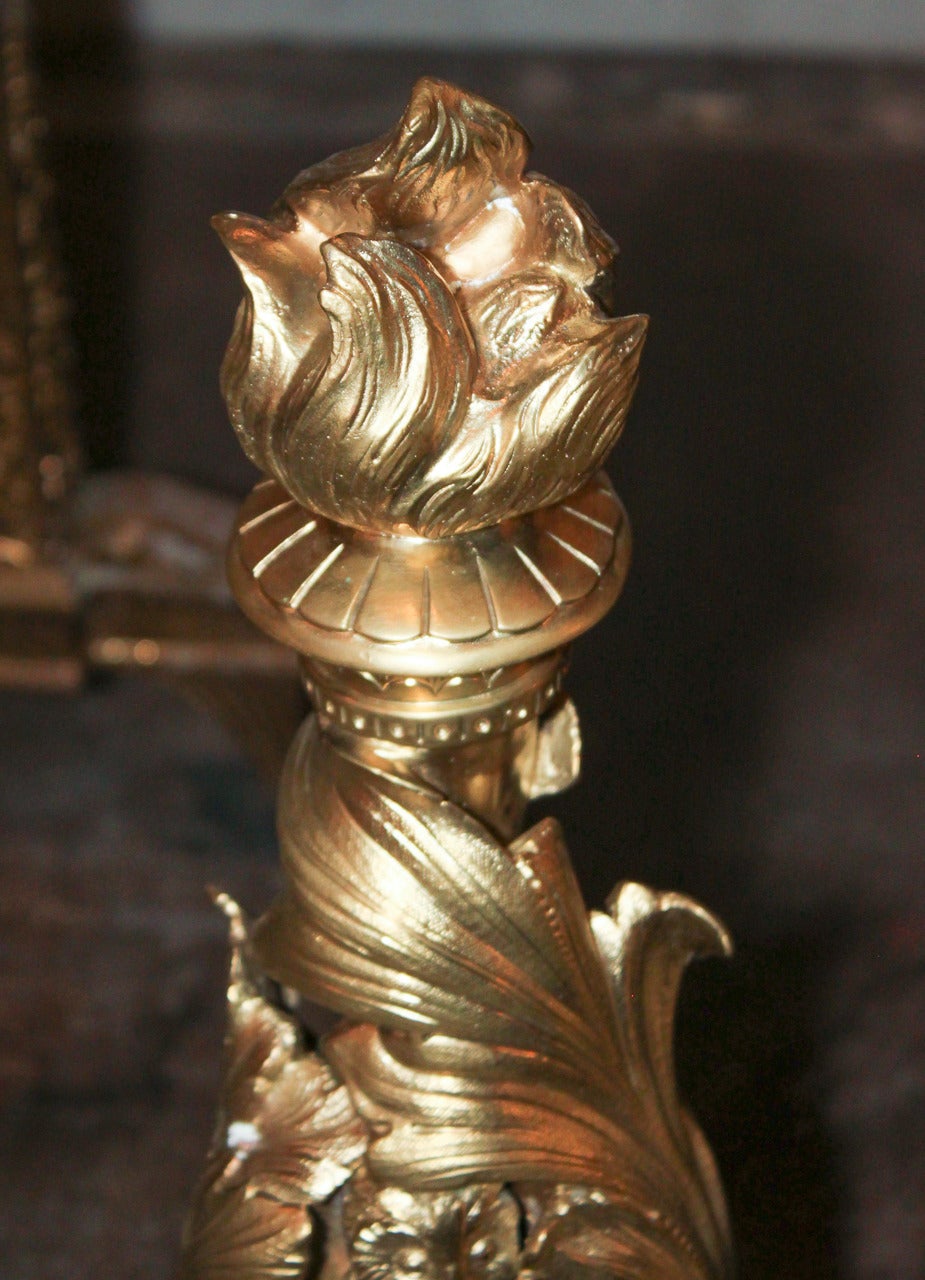English Rare Pair of 19th Century Bronze Doré Chenets