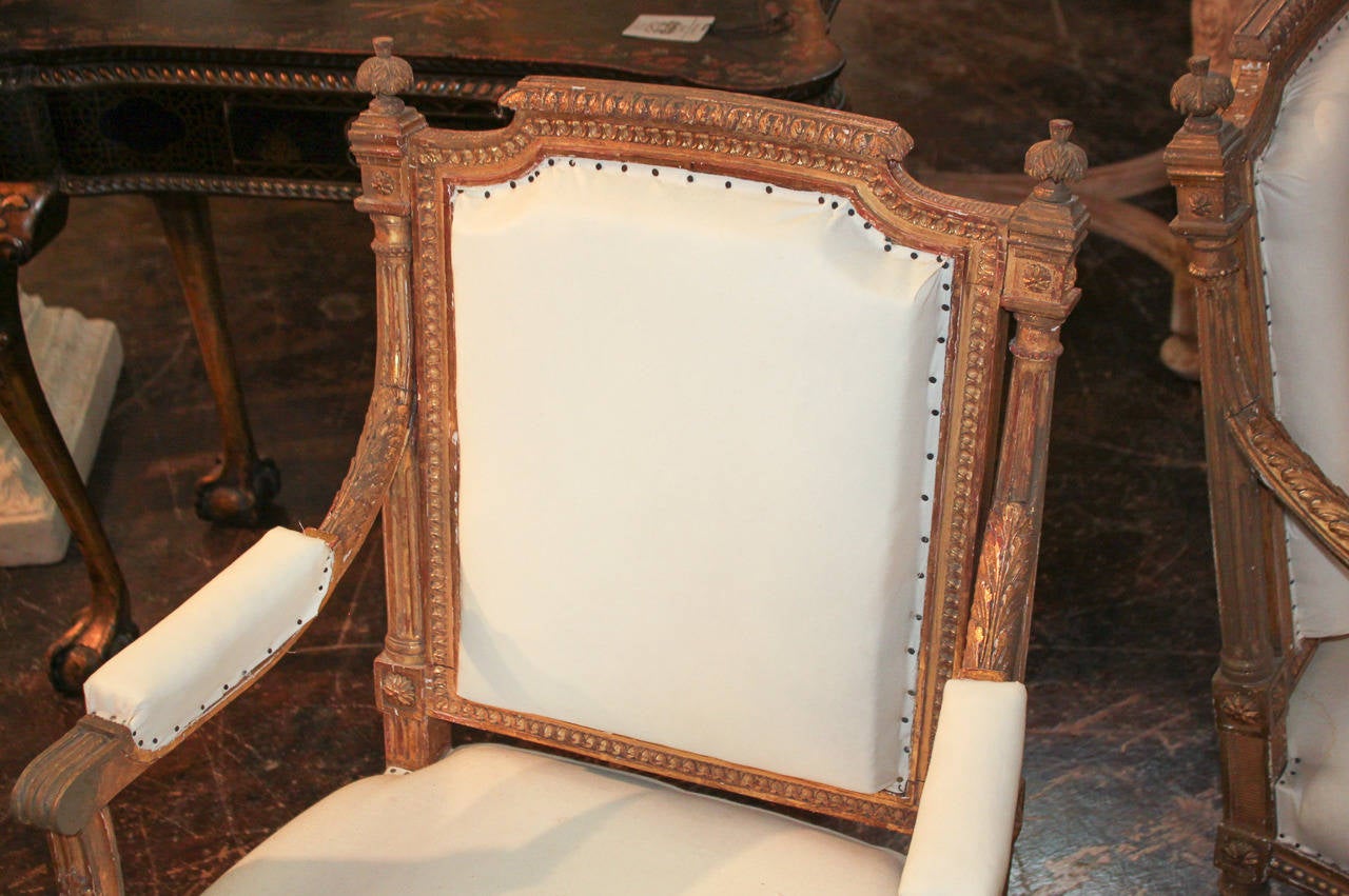 Splendid pair of French Louis XVI giltwood armchairs.  Having fluted back supports and legs, and classic carved adornments including beading, rosettes, and acanthus leaf motifs.  Beyond chic for numerous designs!