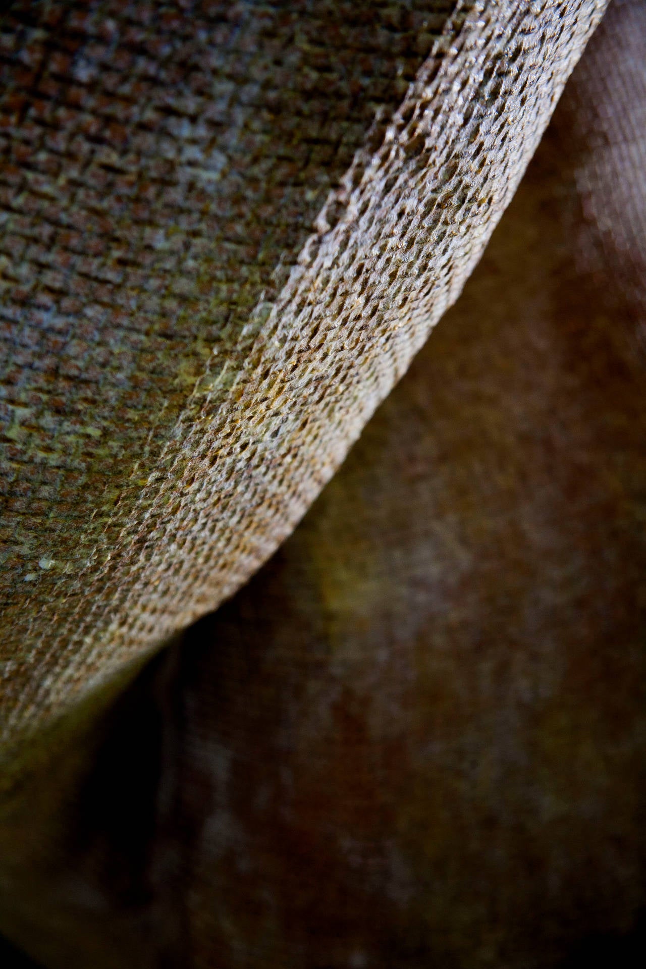 Modern Nacho Carbonell No. 17 