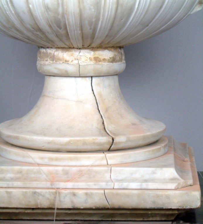 19th Century Carrara Marble Italian Vase, 1830s For Sale 1