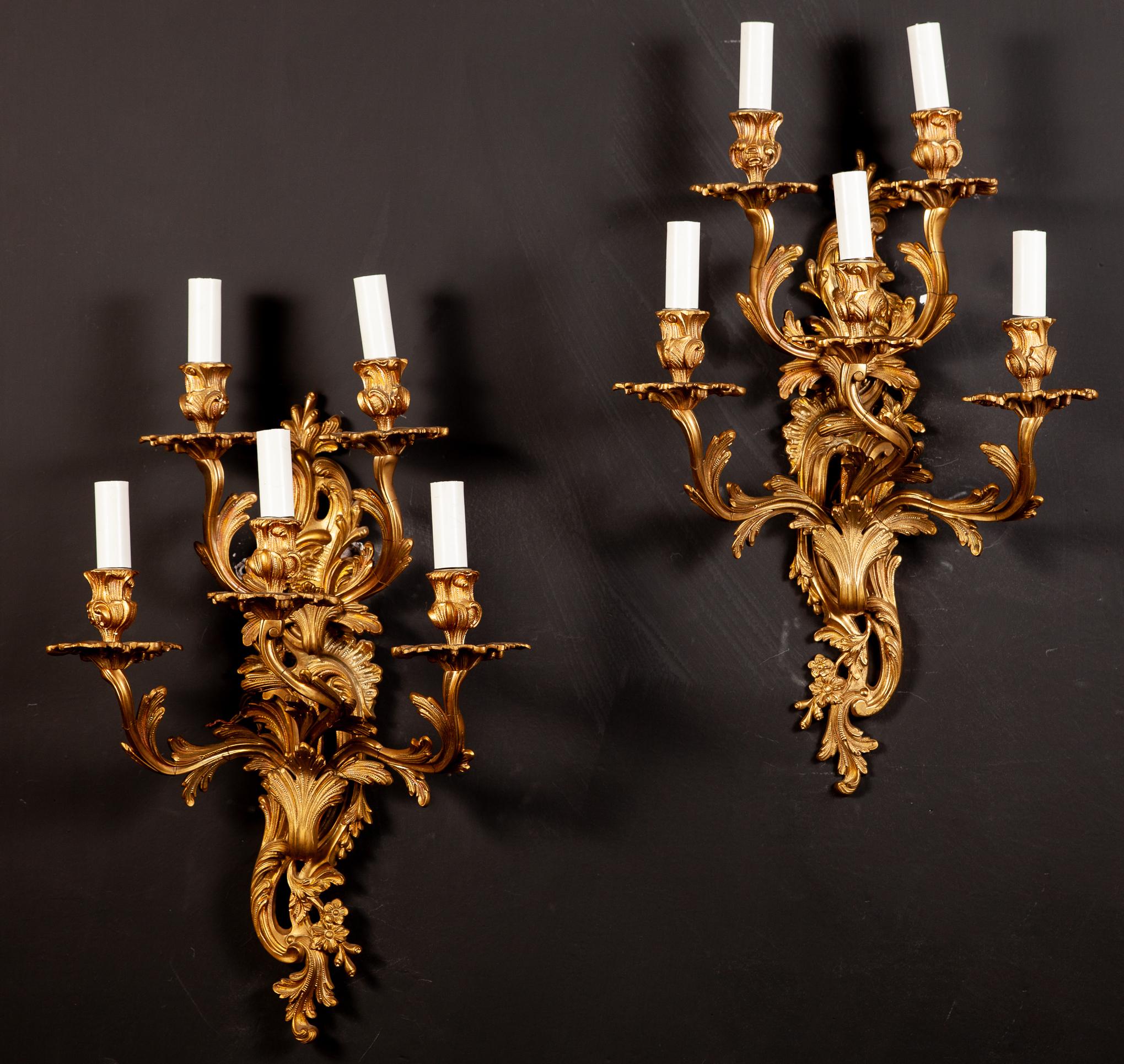 A Pair of French imposing 19th century Louis XV style gilt bronze five-light sconces , scrolling arms with acanthus leaves terminating in a corolla with foliate scrolls. Available two pairs. 
 Each sconces with Five E 14 light bulbs . On request we