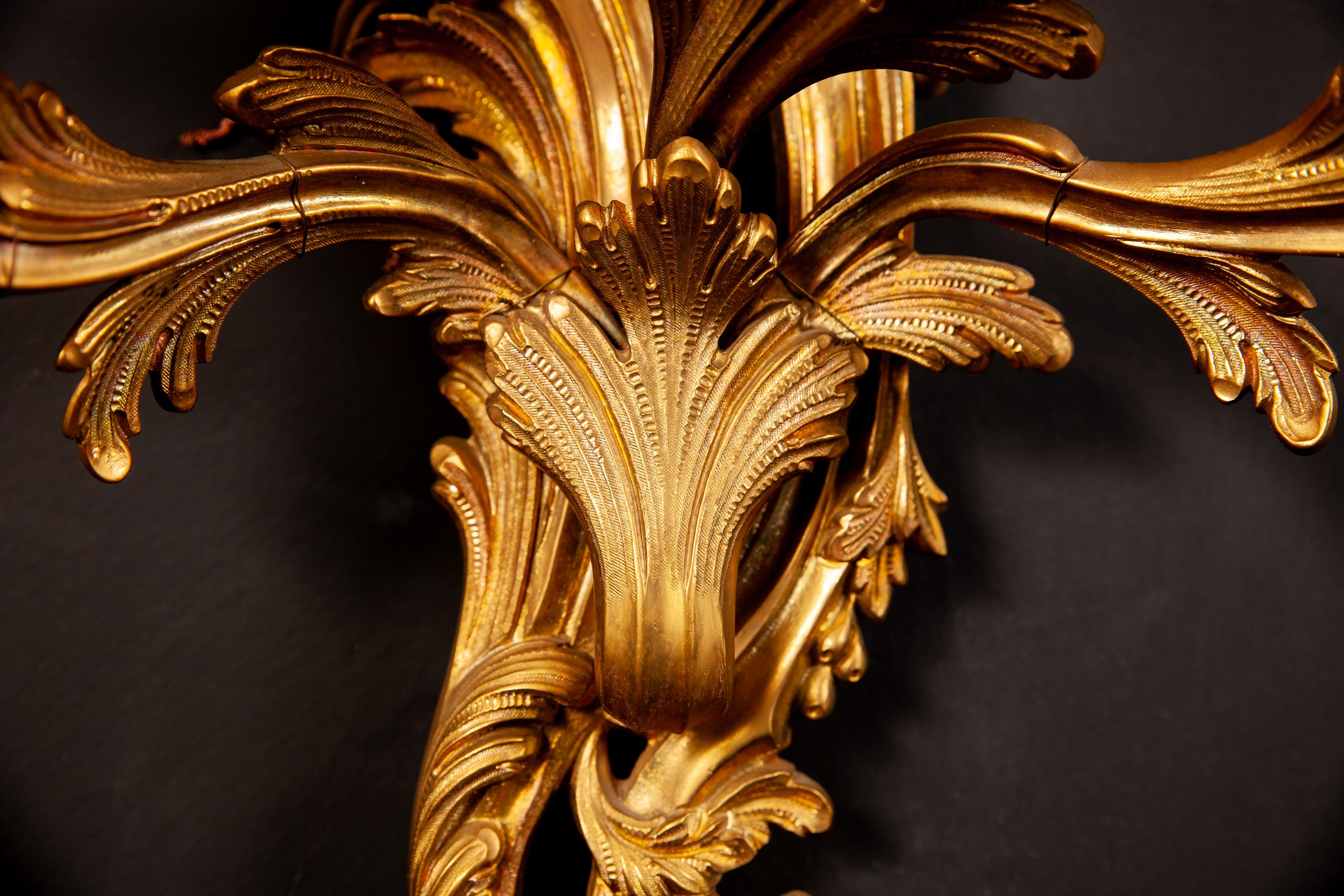 Pair of 19th Century Louis XV Style Gilt Bronze Five Arms French Sconces, 1890s 9