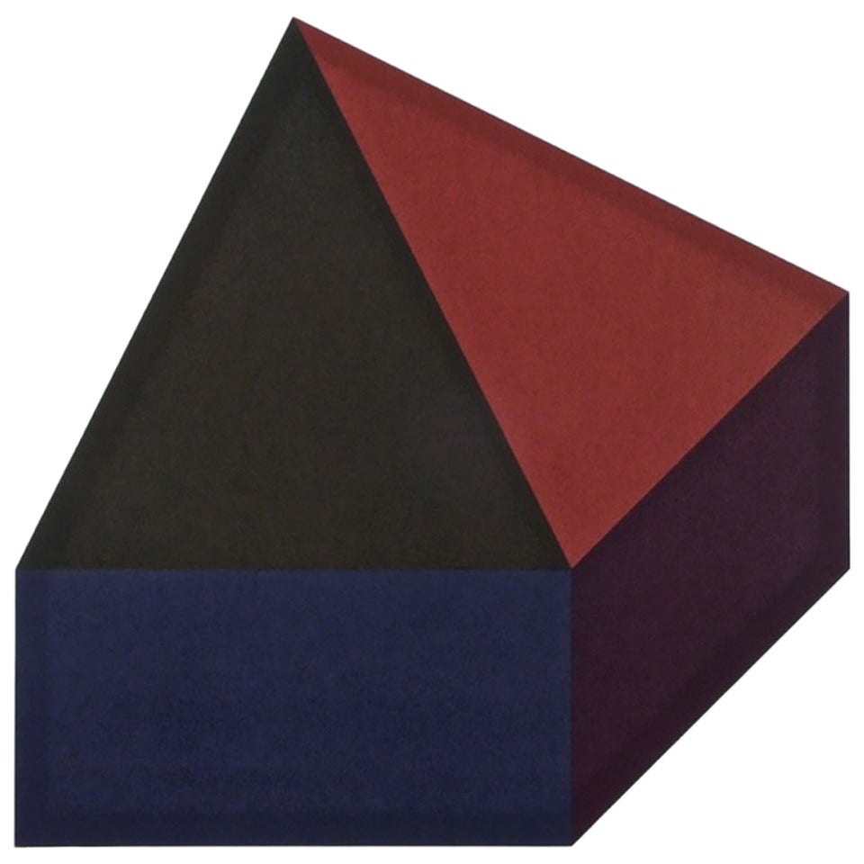 Sol LeWitt "Forms Derived from a Cube ( Colors  Superimposed )" Plate #10 For Sale