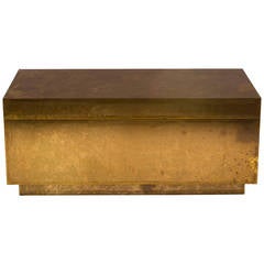 Brass Trunk or Cocktail Table